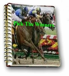 Pick Horse Racing Winners