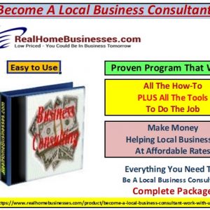 Become A Business Consultant